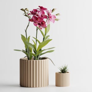 May include: Two cylindrical planters with a vertical ribbed texture in a light beige colour. The larger planter holds a vibrant magenta orchid with green leaves and stems, while the smaller planter contains a small green succulent plant.