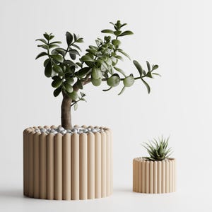 Puede incluir: Dos jardineras cilíndricas beige con diseño acanalado. La jardinera más grande contiene un pequeño árbol con hojas verdes y tronco marrón. La más pequeña contiene una planta suculenta. Las jardineras están sobre un fondo blanco.