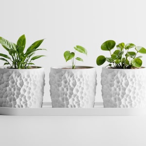 Set van 3 plantenpotten met afwateringsschaal, geometrische kruidenpot voor binnen, gestructureerde pot voor vetplanten en bloemen.