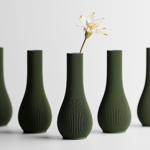 May include: Five olive green vases with a vertical ribbed texture arranged in a row. Each vase has a narrow neck and a wider, rounded base. A single white flower with yellow-tipped petals is placed inside the centre vase of the collection.