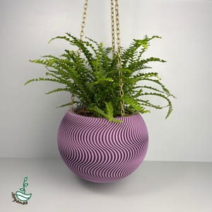 Puede incluir: Una maceta colgante de color púrpura suave con un diseño ondulado y texturizado. La maceta esférica contiene un helecho verde vibrante y está suspendida por una cadena dorada. Una pieza decorativa moderna para interiores o exteriores.