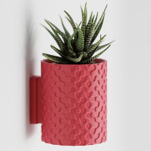 3D Printed Wall Mount Plant Pot: Modern Eco-Friendly Planter
