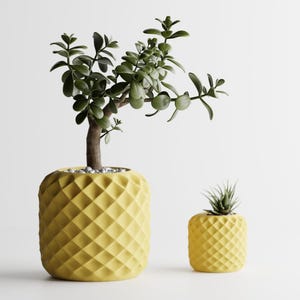 May include: Two yellow pineapple-shaped planters with green plants. The larger planter has a larger plant with green leaves. The smaller planter has a smaller plant with green leaves.