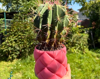 Cactus Succulent Pot – 3D Printed Planter
