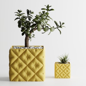 Peut inclure: Deux jardinières carrées jaunes avec un motif matelassé. La plus grande contient une plante de jade avec des feuilles vertes et de petits cailloux. La plus petite contient une plante succulente. Sur fond blanc.