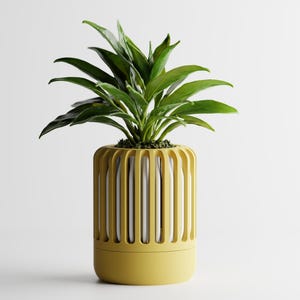 Puede incluir: Una planta en maceta con hojas verdes vibrantes en una maceta amarilla. La maceta tiene un diseño acanalado, con aberturas verticales que revelan un interior blanco. La maceta es de diseño moderno.