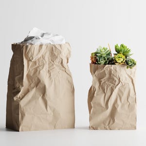Puede incluir: Dos bolsas de papel marrón, una llena de papel blanco arrugado y la otra rebosante de una variedad de suculentas verdes y naranjas. Las bolsas tienen una textura arrugada y se alzan sobre un fondo blanco.