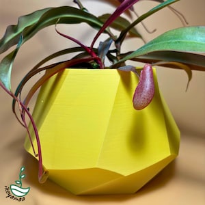 Può includere: Un vaso geometrico giallo con una pianta verde e rossa che cresce al suo interno. La pianta ha un unico orcio rosso.