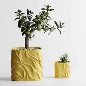 Puede incluir: Dos macetas cuadradas amarillas con textura de ondas. La maceta más grande contiene una planta de jade con hojas verdes y un tronco marrón. La maceta más pequeña contiene una suculenta. Sobre una superficie blanca.