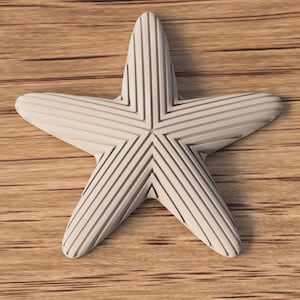 Op de afbeelding: Een vijfbenig zeesterornament in een matte off-white afwerking, voorzien van een reeks parallelle, verzonken lijnen die de vorm van elke arm volgen en samenkomen in het middelpunt van de ster voor een gestructureerd, geometrisch uiterlijk.