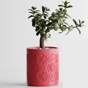 Peut inclure: Une plante de jade en pot avec des feuilles vert foncé et un tronc brun. Le pot, de couleur corail, est cylindrique et orné d'un motif floral en relief. De petits galets blancs recouvrent le sol.