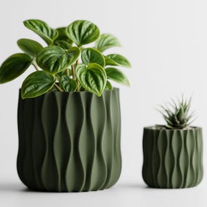 May include: Two olive green cylindrical planters with a vertical wavy, ribbed texture. The larger planter on the left contains a lush green plant with rounded leaves, while the smaller planter on the right holds a spiky, pointed succulent.