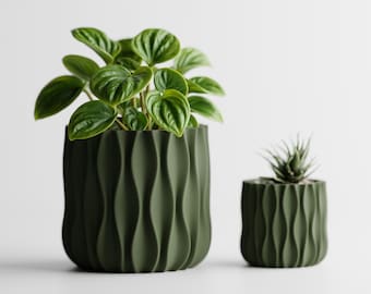 Puede incluir: Dos macetas cilíndricas de color verde oliva con una textura vertical ondulada y acanalada. La maceta más grande a la izquierda contiene una planta verde frondosa con hojas redondeadas, mientras que la más pequeña a la derecha tiene una suculenta.