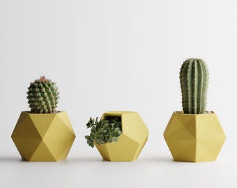 May include: Three geometric yellow planters each holding a different succulent. The first planter holds a round cactus, the second holds a succulent, and the third holds a tall cactus. The planters are set against a white background.