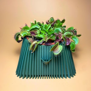 Op de afbeelding: Een groene, geometrische plantenpot met een uniek ontwerp, met een plant met groene en rode bladeren. De pot heeft een brede basis en een smalle bovenkant, met een reeks verticale ribben.