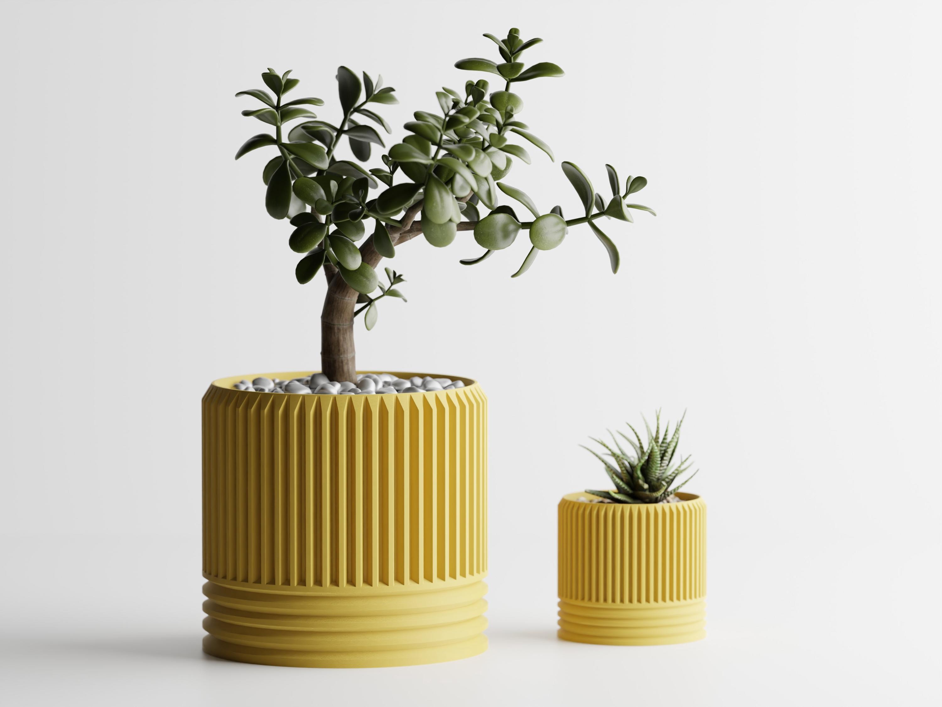 Large pots for monstera - Etsy.de
