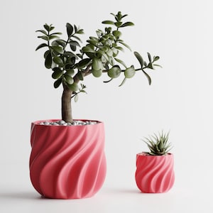 Peut inclure: Deux pots de fleurs rouges à motifs en spirale, un grand et un petit, contenant chacun une plante succulente différente. Le grand pot contient une plante de jade avec de petites feuilles vertes. Le petit pot contient une plante succulente épineuse.