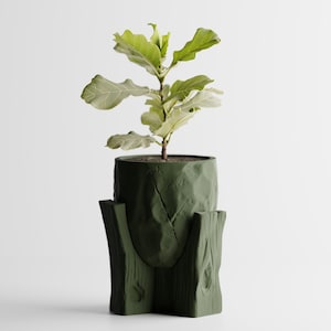 Puede incluir: Una maceta verde texturizada con una base en forma de tronco de árbol, que contiene una pequeña planta con hojas grandes de color verde claro. La maceta tiene un diseño geométrico único y está sobre un fondo blanco. La planta es una higuera de hoja de violín.