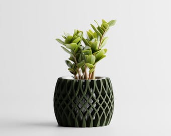 May include: A dark green, patterned plant pot containing a ZZ plant. The pot has a lattice design and holds a ZZ plant with bright green leaves and brown stems. The plant pot is a decorative item for home decor.