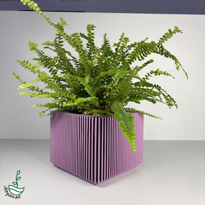 Op de afbeelding: Een levendige groene varenplant in een vierkante lavendelkleurige plantenbak. De plantenbak heeft een verticaal gestreept ontwerp. De plant is weelderig en vol, met veel kleine groene bladeren. De afbeelding is goed verlicht en de kleuren zijn levendig.