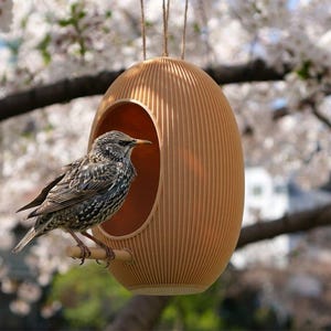 Japandi fågelmatare: 3D-utskriven modern äggformad trädgårdsmatare, hängande utomhusfågelholkdekor, inflyttningspresent