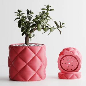 Pode incluir: Um vaso cilíndrico rosa com um padrão de diamante acolchoado contendo uma planta suculenta verde com pequenas folhas redondas. Ao lado do vaso, há uma tampa circular rosa correspondente com uma série de pequenos orifícios de drenagem.