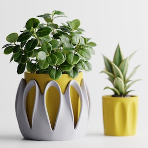 Op de afbeelding: Een felgele plantenpot in een lichtgrijze, bloemblad-vormige buitenkant met een weelderige groene plant, naast een kleinere, effen gele pot met een tweekleurige groen-witte vetplant.