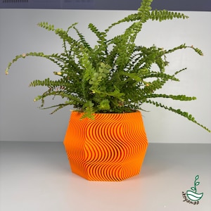 Op de afbeelding: Een feloranje bloempot met een golvend patroon, met een groene varen. De pot heeft een geometrisch ontwerp met verticale, gebogen lijnen. De varen heeft kleine, groene bladeren, die contrasteren met de kleur van de pot. De pot staat op een wit oppervlak.