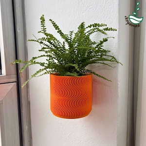 Peut inclure: Un pot de fleurs mural orange avec un motif ondulé, contenant une fougère verte. Le pot est cylindrique et présente une surface texturée. La fougère a de nombreuses petites feuilles vertes. Le pot est fixé à un mur blanc.