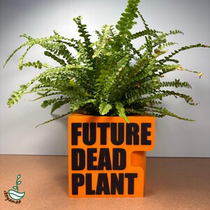 May include: An orange square planter with the words "FUTURE DEAD PLANT" in black block letters. The planter holds a vibrant green fern with small, rounded leaves. The image is set against a neutral background.