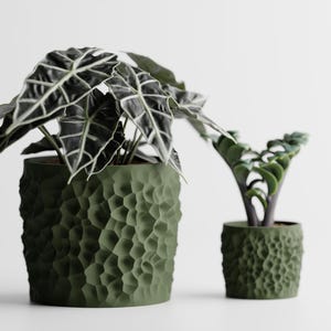 Può includere: Due vasi cilindrici per piante di colore verde oliva scuro con una superficie testurizzata e irregolare. Il vaso più grande contiene una pianta di Alocasia con foglie verde scuro a forma di freccia e venature bianche, il piccolo una Zamioculcas.
