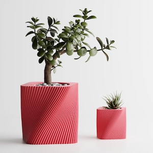 Puede incluir: Dos macetas cuadradas rojas con un diseño en espiral. La maceta más grande contiene un pequeño árbol con hojas verdes y un tronco marrón. La más pequeña contiene una pequeña suculenta. Ambas están sobre una superficie blanca.