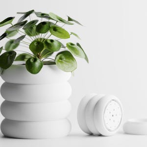 Op de afbeelding: Een witte, gestapelde plantenbak met een groene plant met ronde bladeren. Daarnaast een bijpassende witte gieter en een kleine, ronde schaal. De items staan tegen een witte achtergrond, wat een minimalistische esthetiek creëert.