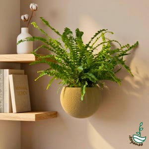 Self-watering ball-shaped wall planter - 3D-printed modern hanging planter designed for indoor plants, tropical plants, and houseplants