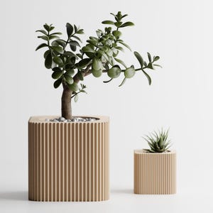 Peut inclure: Deux jardinières en bois, une grande et une petite, chacune avec un design côtelé. La grande jardinière contient une plante de jade aux feuilles vert foncé. La petite jardinière contient une plante succulente.