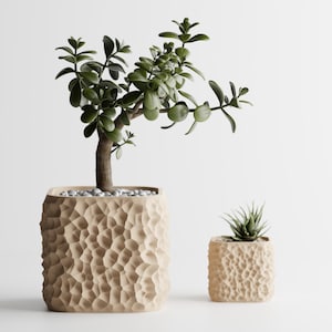Puede incluir: Dos macetas cuadradas beige texturizadas, una grande y otra pequeña, cada una con una planta verde. La maceta más grande contiene un pequeño árbol con tronco marrón y hojas verdes. La maceta más pequeña contiene una suculenta.