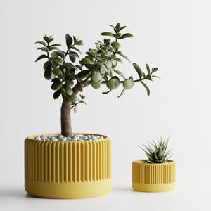 Maceta impresa en 3D con estructura de nervadura redonda: maceta de diseño moderno para plantas