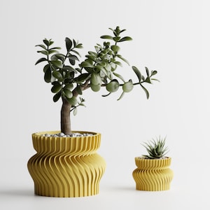 Op de afbeelding: Twee gele plantenbakken met golvende randen, één groot en één klein, elk met een plant. De grotere plantenbak bevat een jadeplant met donkergroene bladeren en een bruine stam. De kleinere bevat een vetplant.