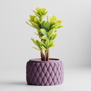 Quilted Petal Planter: Self-Watering 3D Printed Pot for Houseplants
