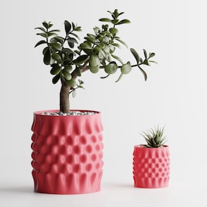 Puede incluir: Dos macetas texturizadas de color coral, una grande y otra pequeña, cada una con una planta suculenta diferente. La maceta más grande contiene una planta de jade con un tronco grueso y hojas verdes. La más pequeña tiene una suculenta espinosa.