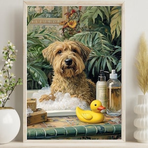 Puede incluir: Un perro marrón y blanco sentado en una bañera llena de burbujas y un pato de goma amarillo. El perro está rodeado de exuberantes plantas verdes y una botella de productos de baño.