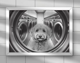 Golden Doodle Dog Print, Laundry Room Wall Art, Dog in Dryer, Kids Bathroom Print, dog lovers gift, housewarming #HS111
