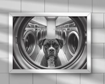 Boxer Dog Print, Laundry Room Wall Art, Dog in Dryer, Kids Bathroom Print, dog lovers gift, housewarming #HS107