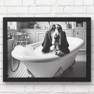 May include: A black and white photo of a basset hound dog sitting in a white bathtub with bubbles. The dog is looking directly at the camera.