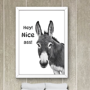 Esel Esel Esel Esel Schlafzimmer Poster, Toilette Poster, Esel Wand Dekor, Modernes Wand Dekor, minimalistisch #X209