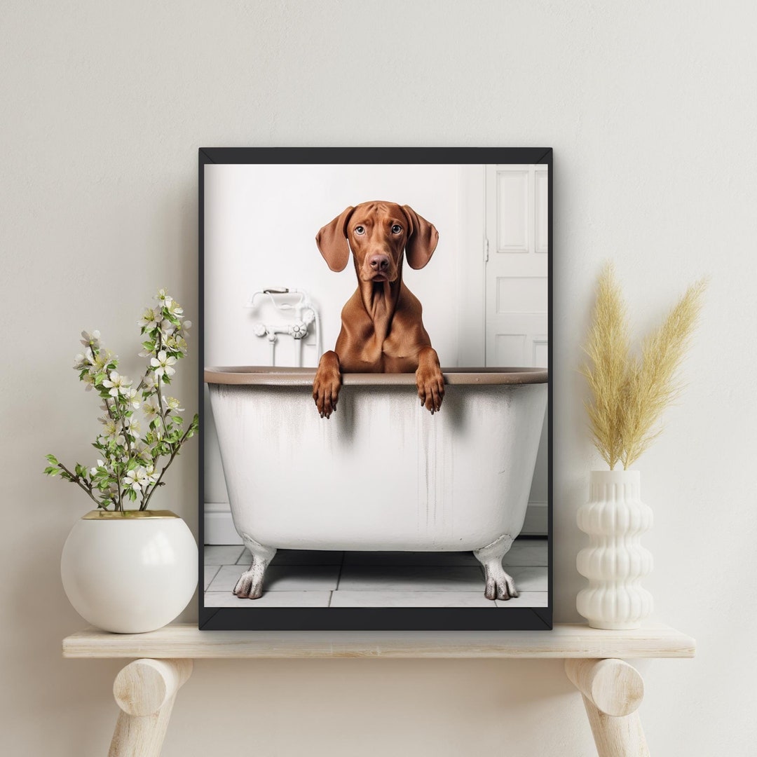 Vizsla Dog in Tub Printable Wall Art, Dog Taking a Bath in Tub ...