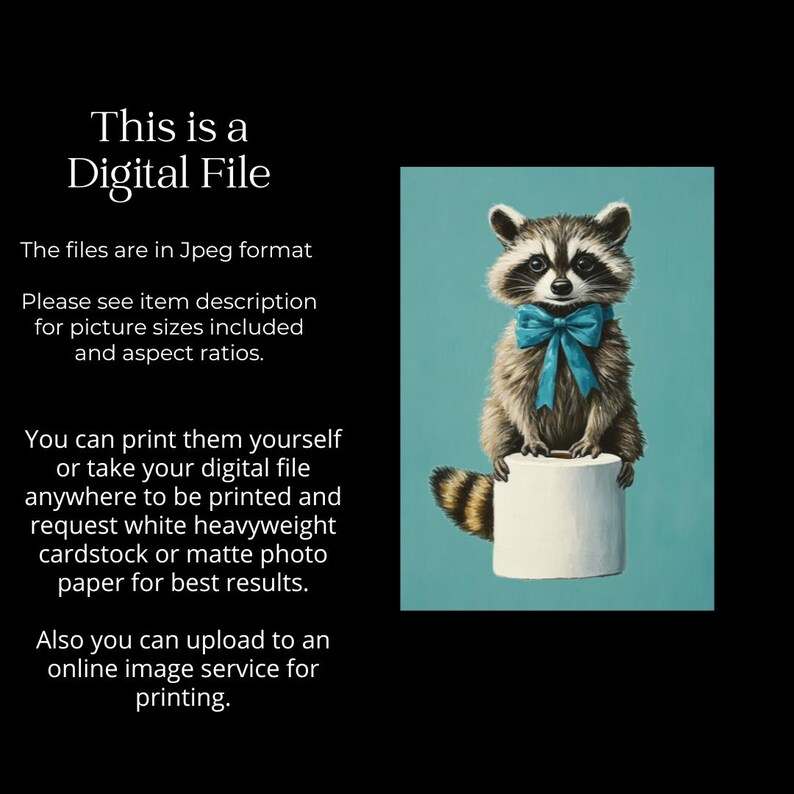 Raccoon Bathroom Wall Art, Coon Lovers Gift, Toilet Paper, Bathroom