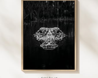 Black And White Alligator Photography Print, Wildlife Wall Art, Fine Art, Bathroom Decor, Gator Lover Gift (Digital Download) #JIM8504