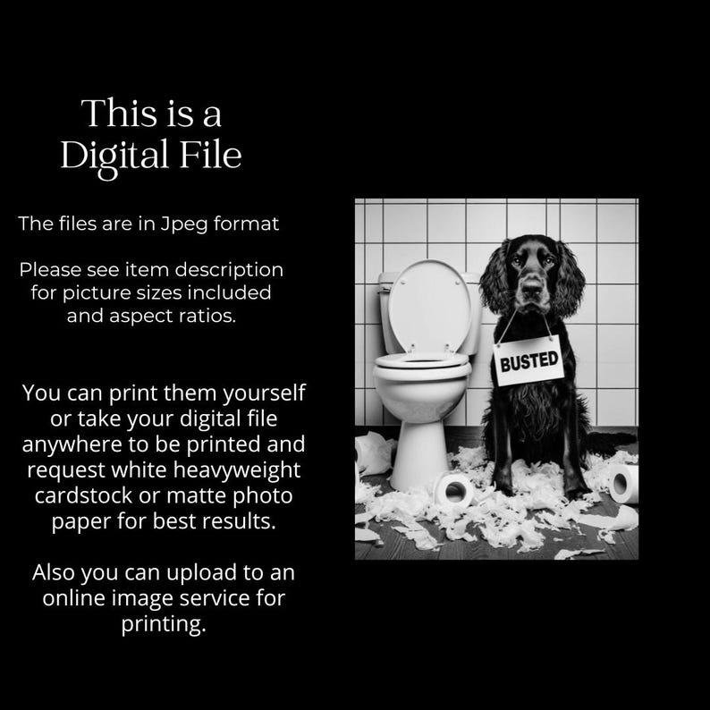 以下が含まれることがあります： バスルームの床に座っている犬の白黒写真。犬の周りにトイレットペーパーが散らばっている。犬は「バステッド」と書かれた看板をつけている。