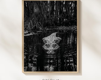 Black And White Alligator Photography Print, Wildlife Wall Art, Fine Art, Bathroom Decor, Gator Lover Gift (Digital Download) #BM8504